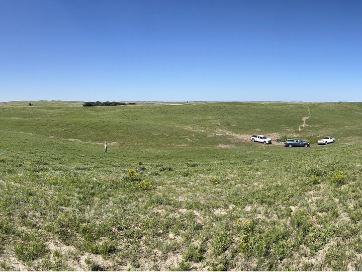 Wide angle photo of grasses growing on rangeland.